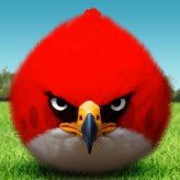 Angry birds: un jeu, bien plus qu’un jeu…